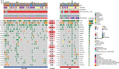 FBXW7 and Its Downstream NOTCH Pathway Could be Potential Indicators of Organ-Free Metastasis in Colorectal Cancer